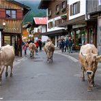 Obersdorfer Momentaufnahme