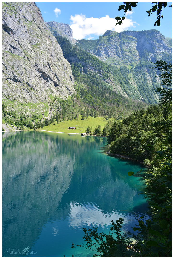 Obersee 01