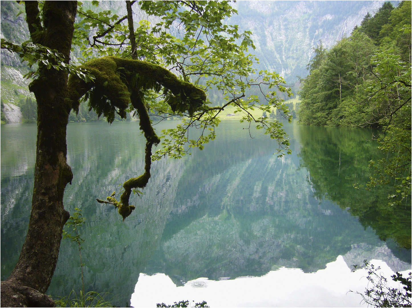 Obersee