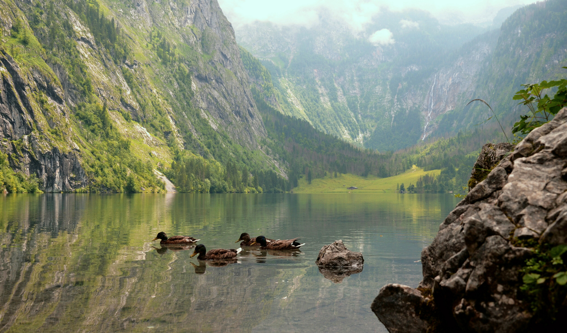 Obersee