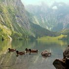 Obersee