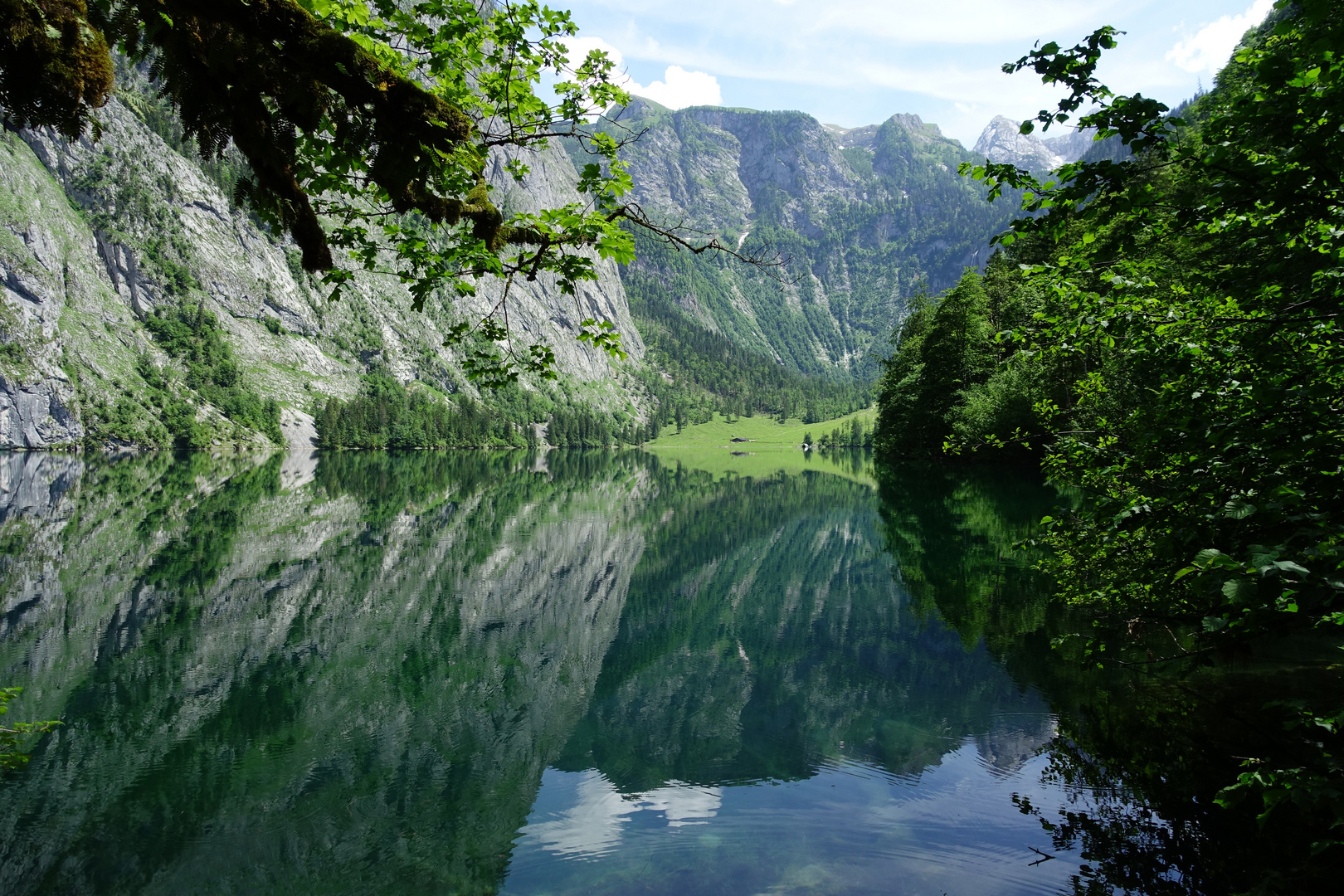 Obersee (1)