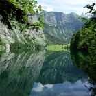 Obersee (1)