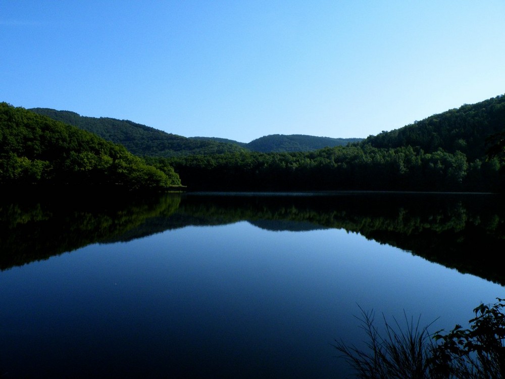 Obersee 1