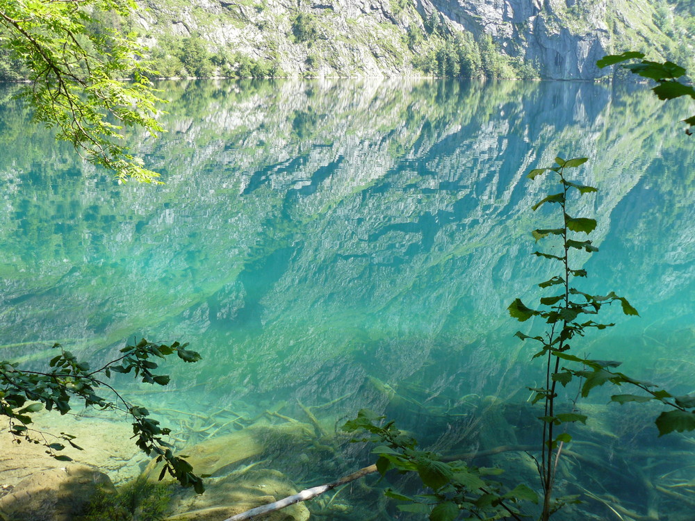 Obersee