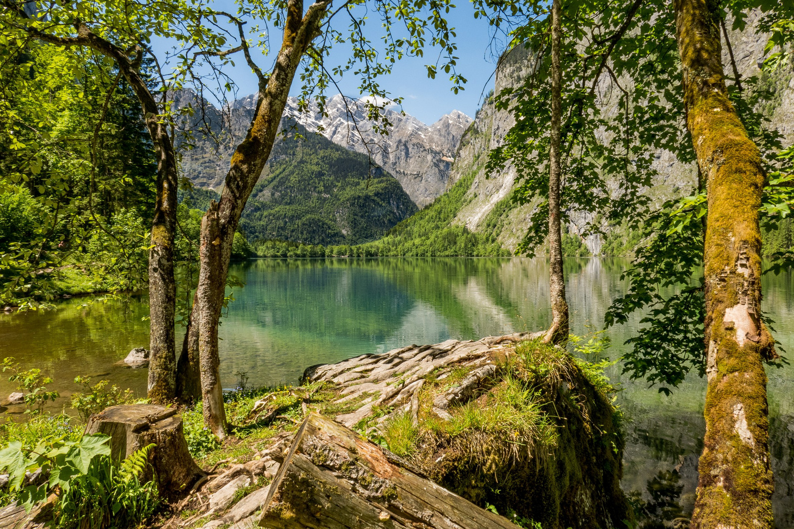 Obersee