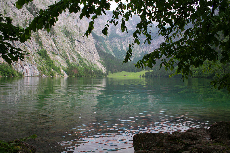 Obersee