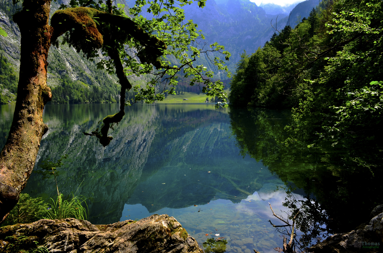 Obersee