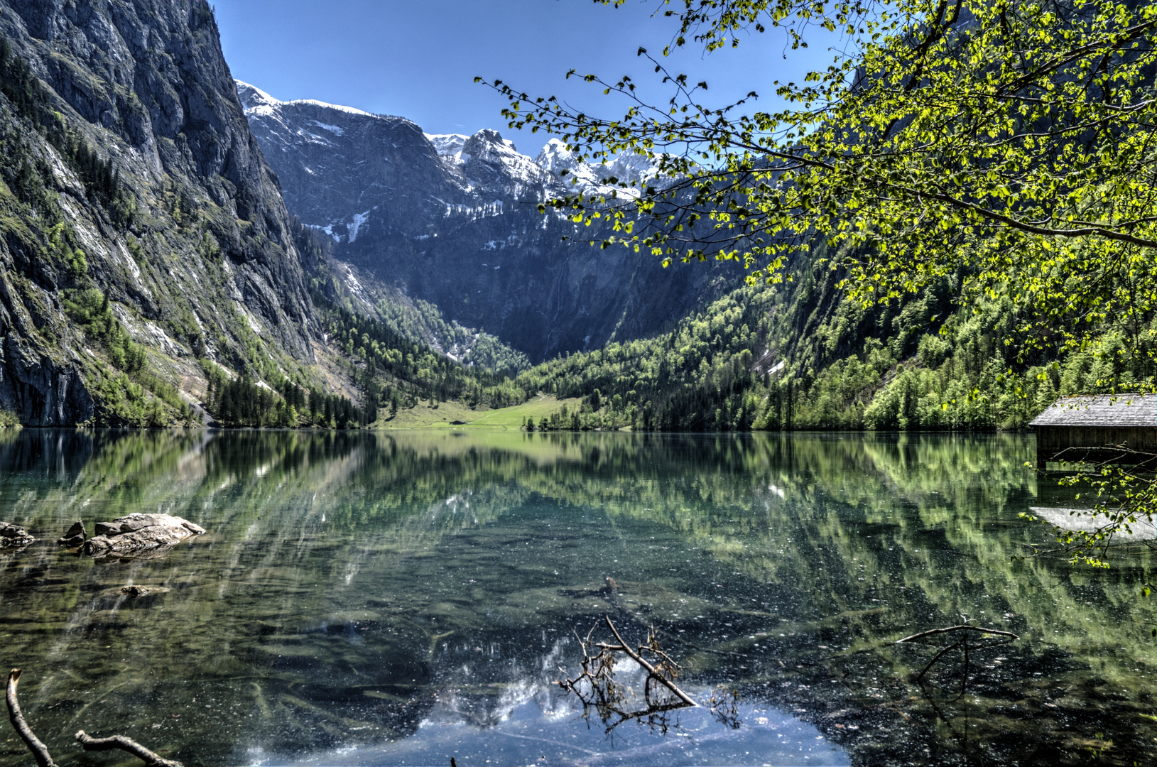 Obersee