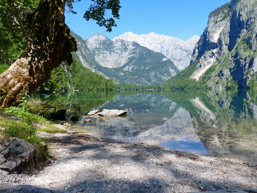 Obersee