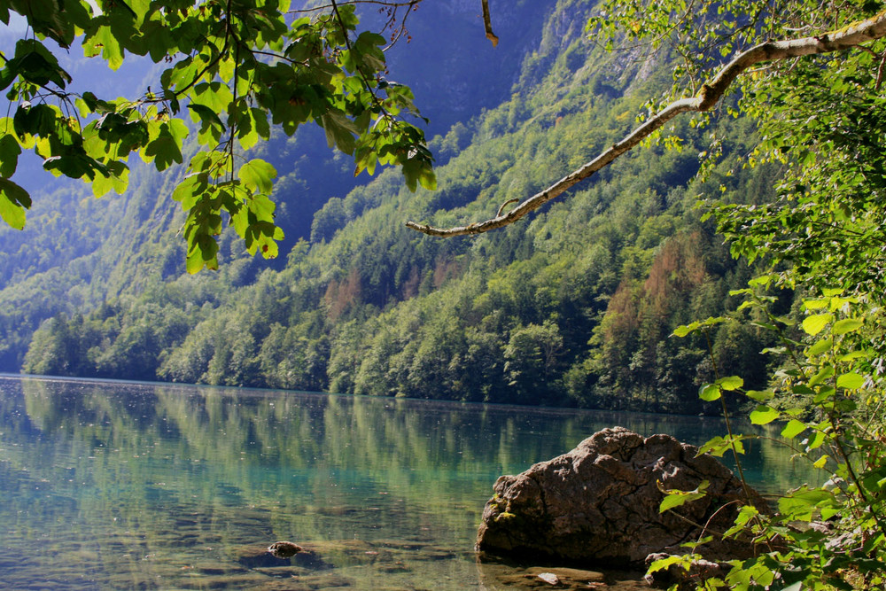 Obersee