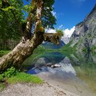 Obersee