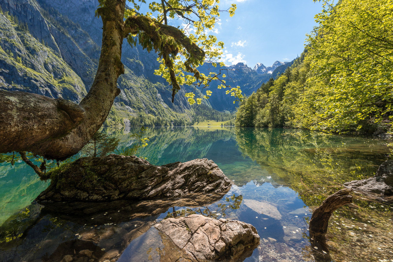 Obersee 