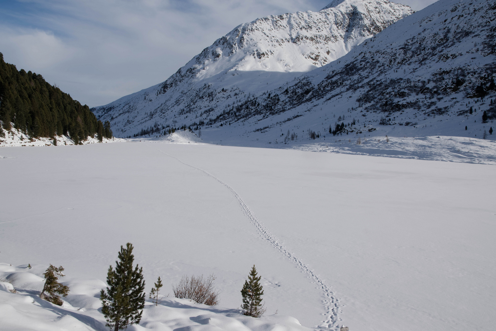 Obersee