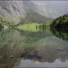 Obersee