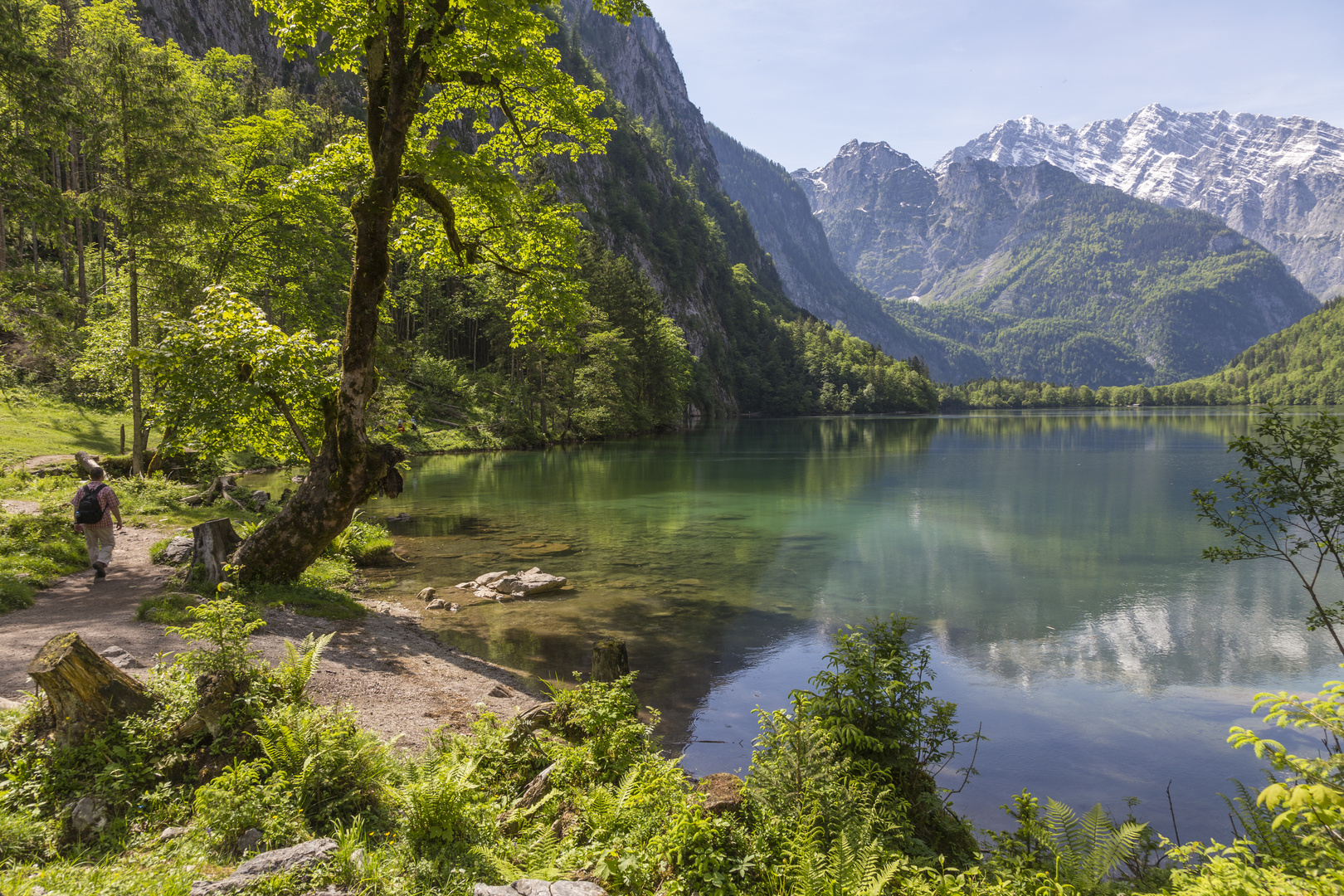 Obersee