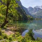 Obersee