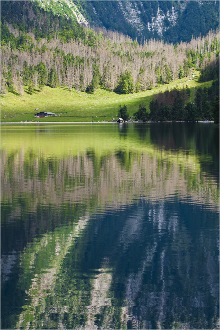 Obersee