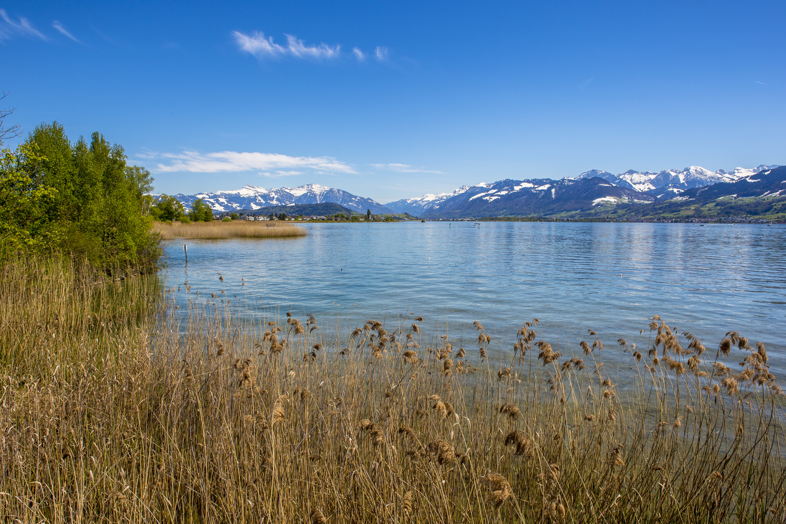 Obersee