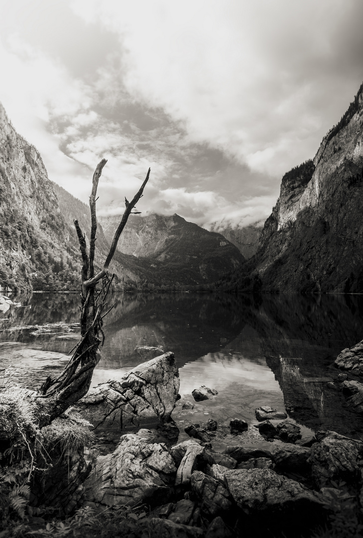 Obersee 