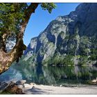 Obersee...