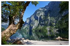 Obersee...