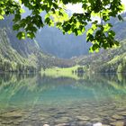 Obersee