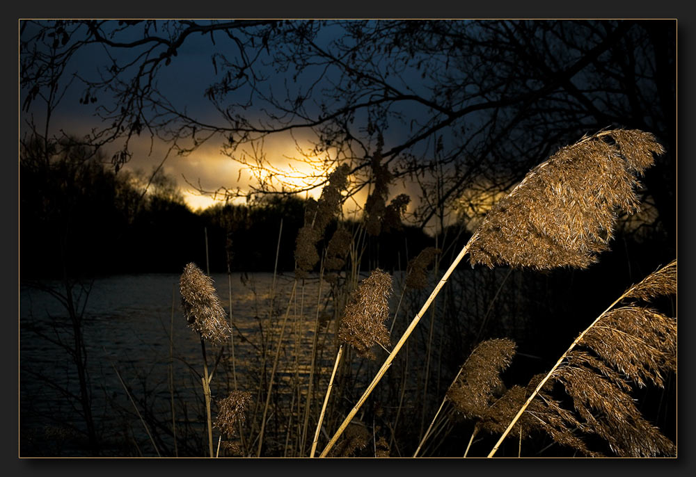 Obersee