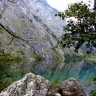 Obersee