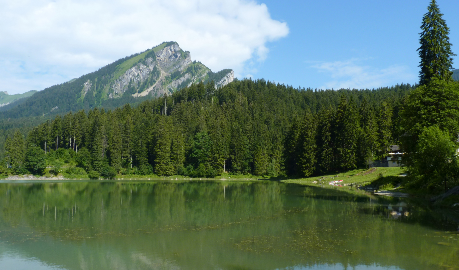 Obersee (982 m)..01