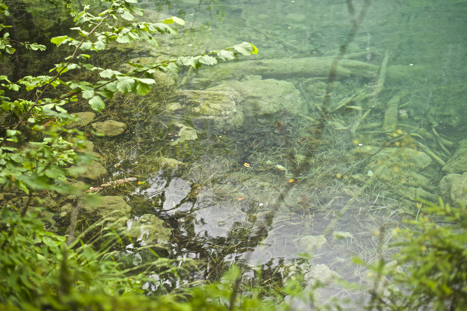 Obersee