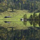 Obersee