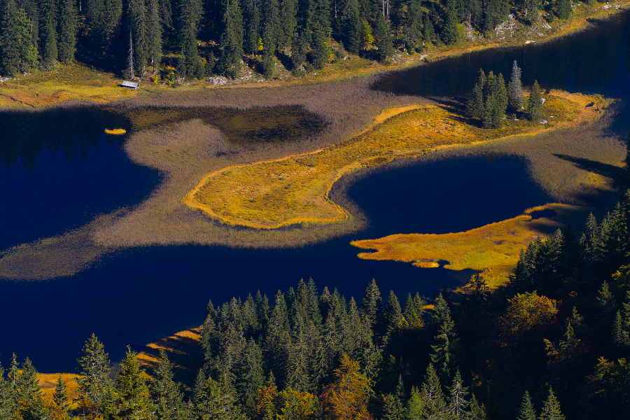 Obersee am Dürrenstein bei Lunz am See