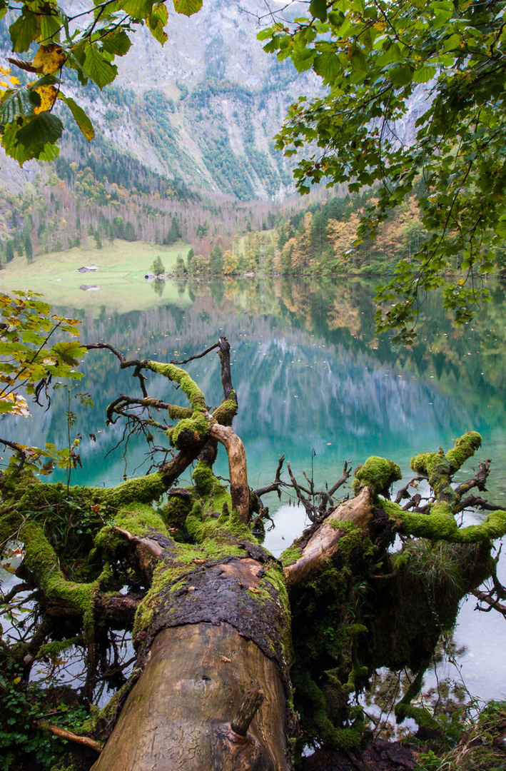 Obersee am Königssee - Blickrichtung Fischunkel-Alm