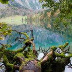 Obersee am Königssee - Blickrichtung Fischunkel-Alm