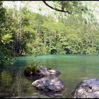 Obersee