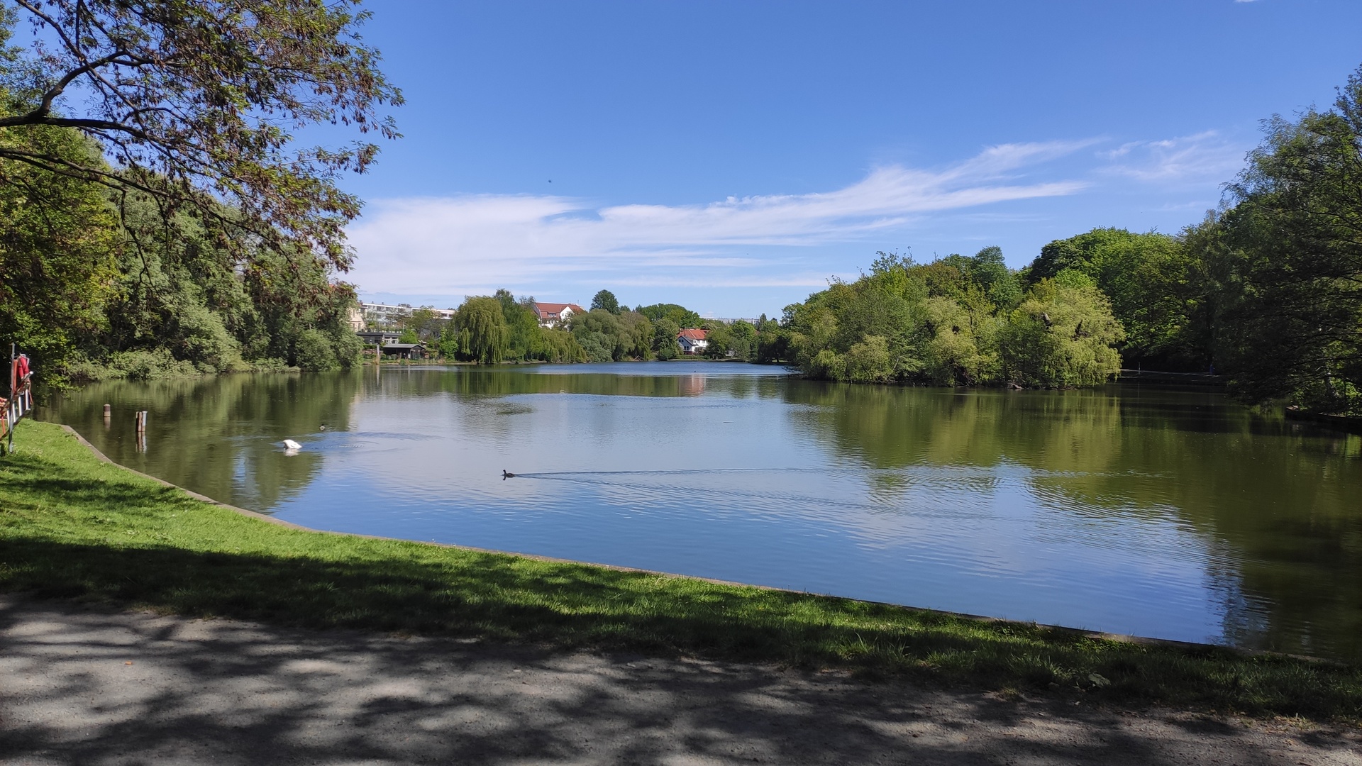 Obersee bei bestem Wetter