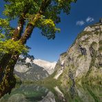 Obersee / Berchtesgadener Land