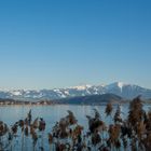 Obersee, Bergsicht Speer und HG Säntis