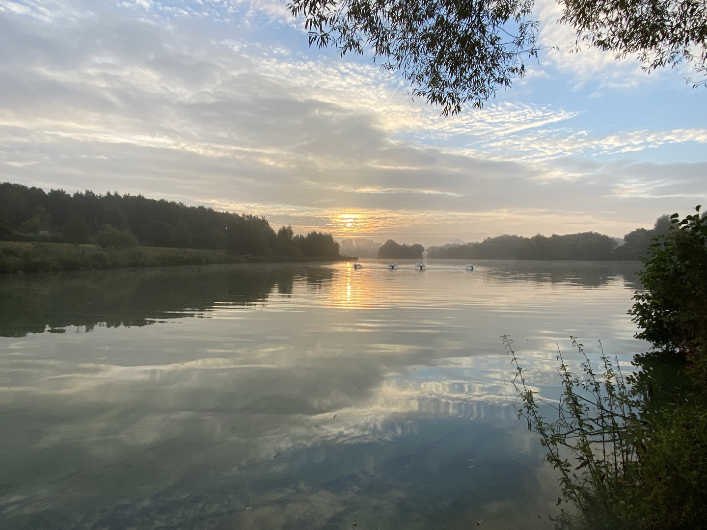 Obersee Bielefeld 