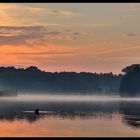 obersee bielefeld II