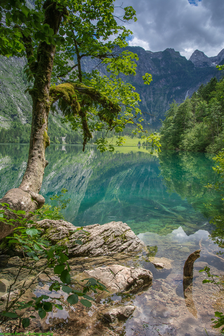 Obersee