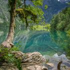 Obersee