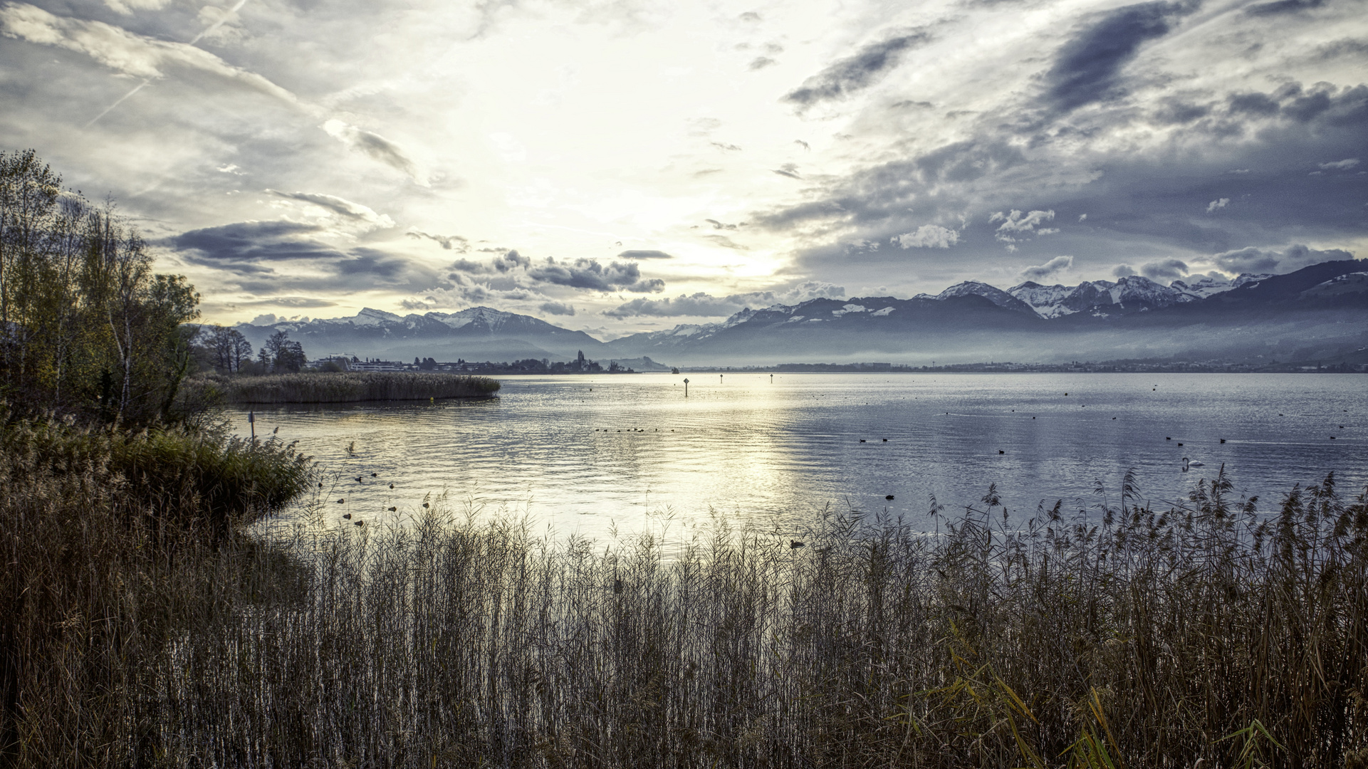 Obersee