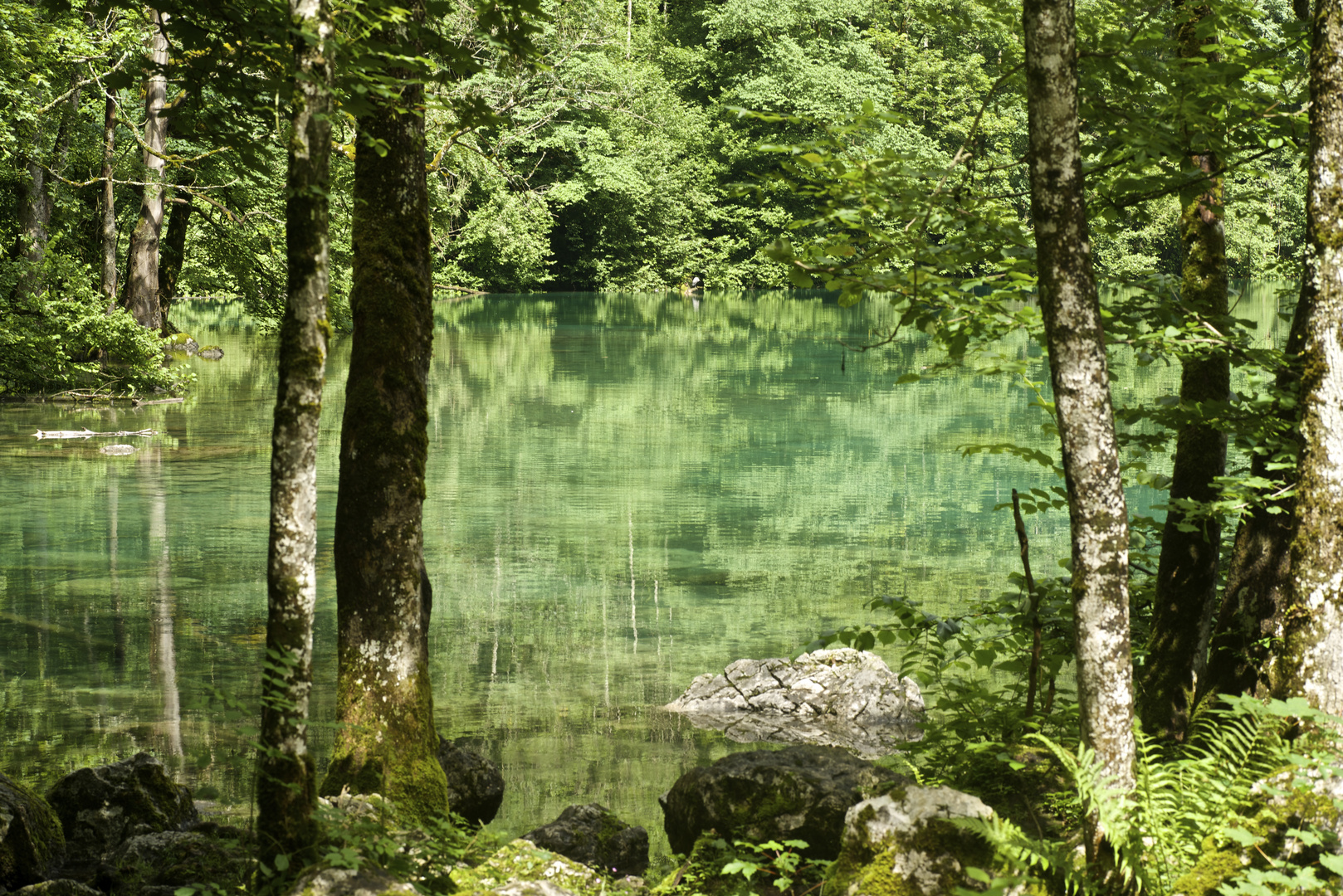 Obersee