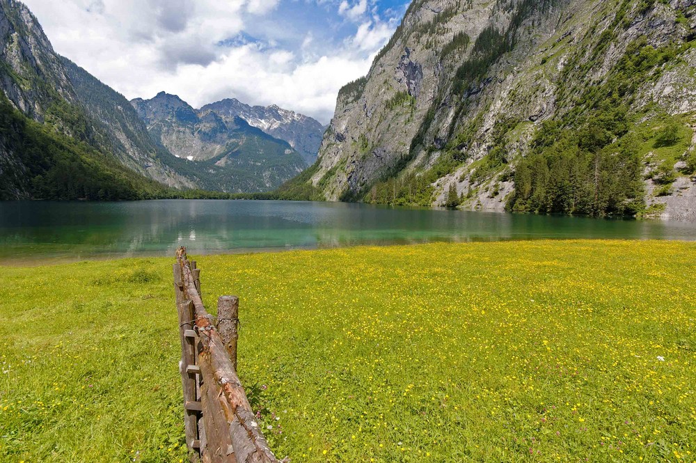 Obersee