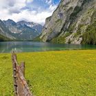 Obersee