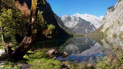 Obersee