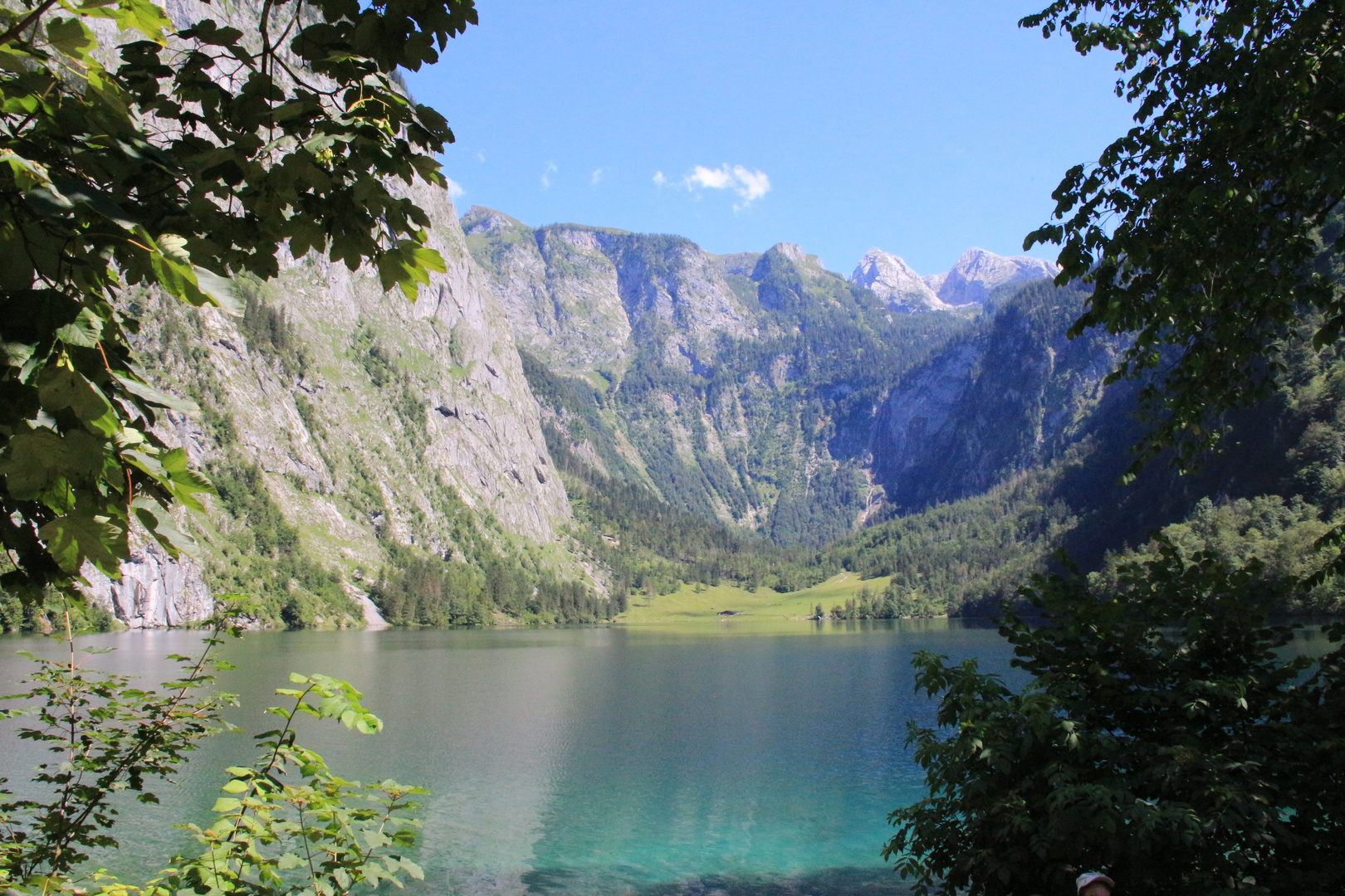 Obersee