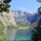 Obersee